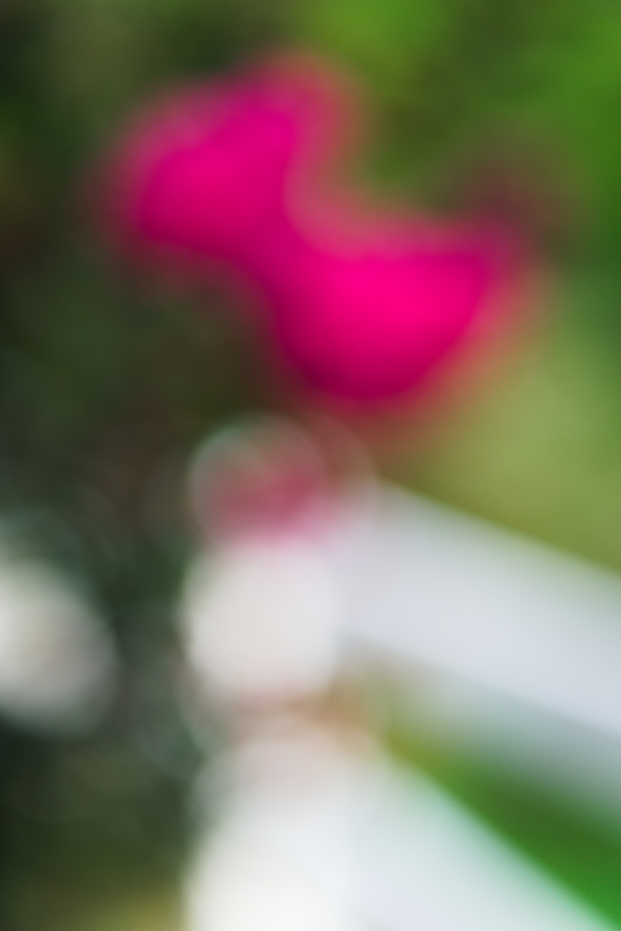 An out of focus picture of flowers.